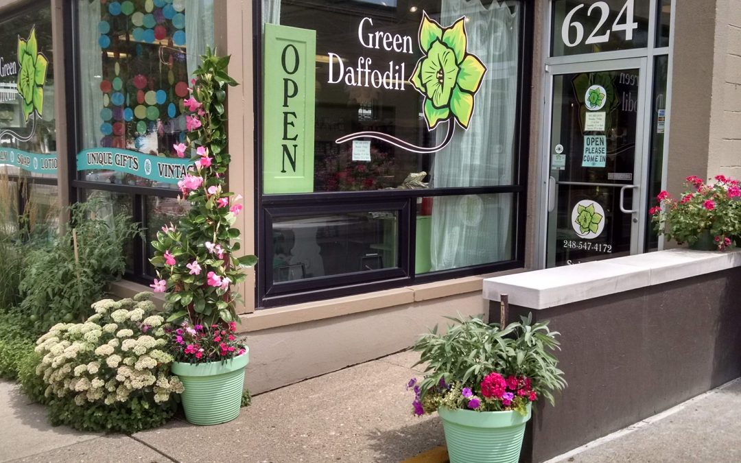 Ferndale’s Green Daffodil: Celebrating 10 Years “Above Ground”