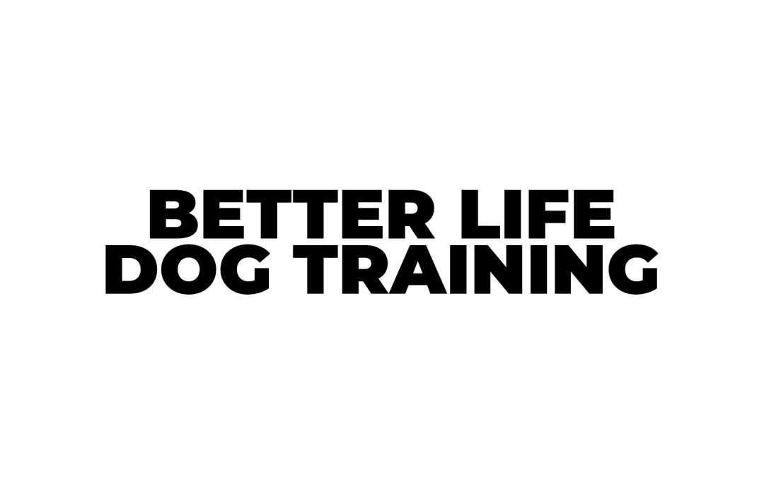 Better Life Dog Training